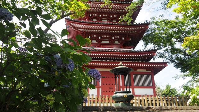 夏の本土寺