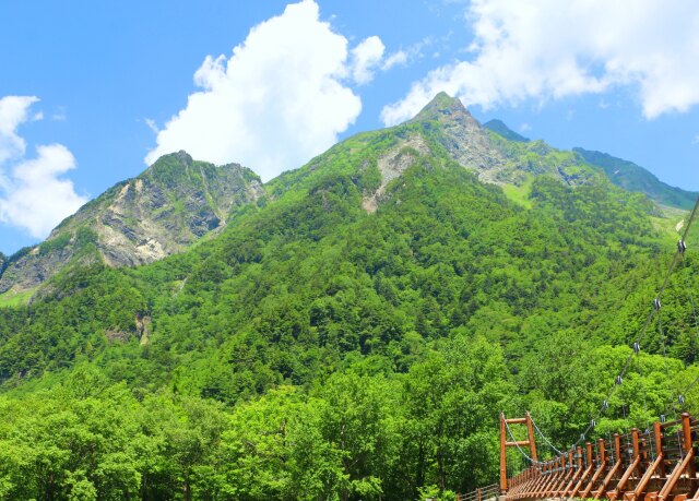 夏の明神岳