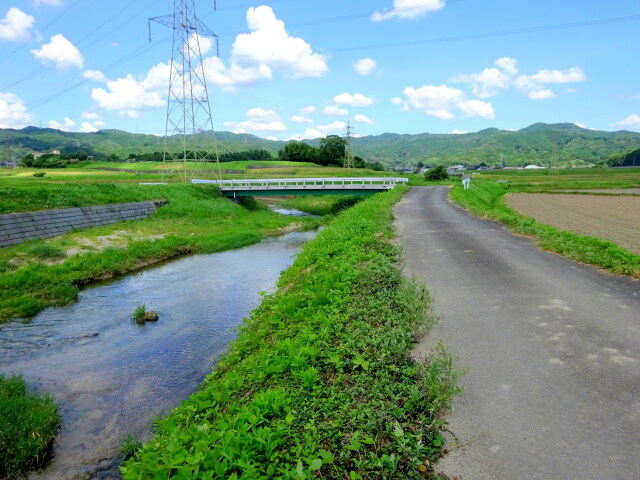 広がる夏 小川と農道