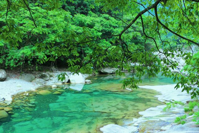 夏の清流