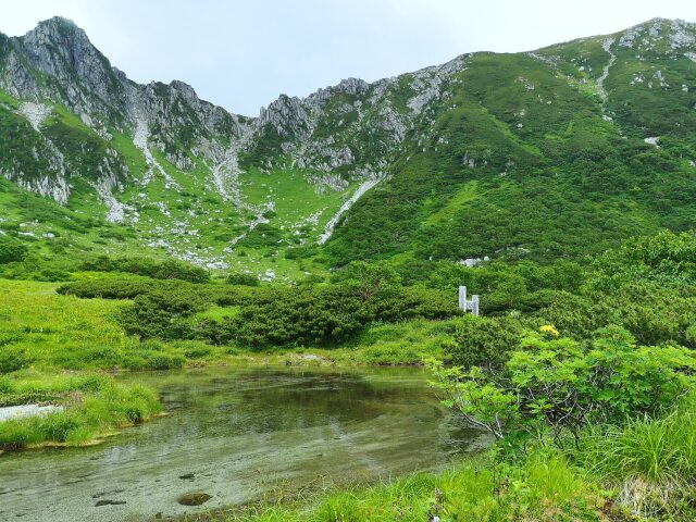 夏の剣ヶ池