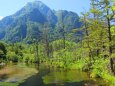 夏の水辺