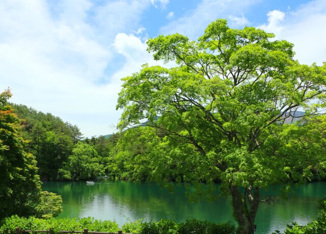 夏の毘沙門沼