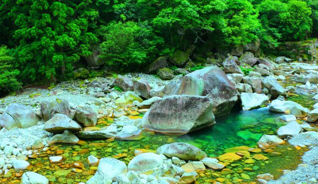 夏の清流