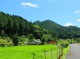 夏の里山