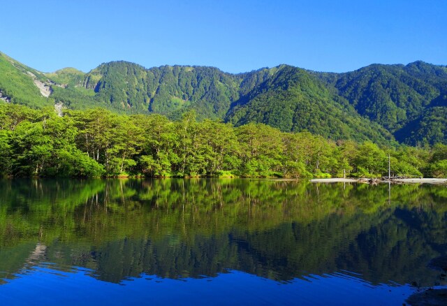 夏の大正池