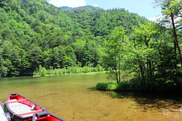 夏の明神池