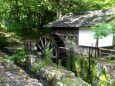 木漏れ日の水車小屋