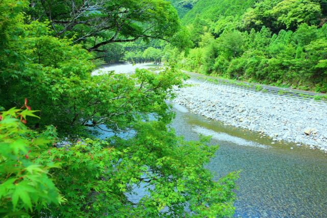 夏の清流銚子川