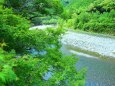 夏の清流銚子川