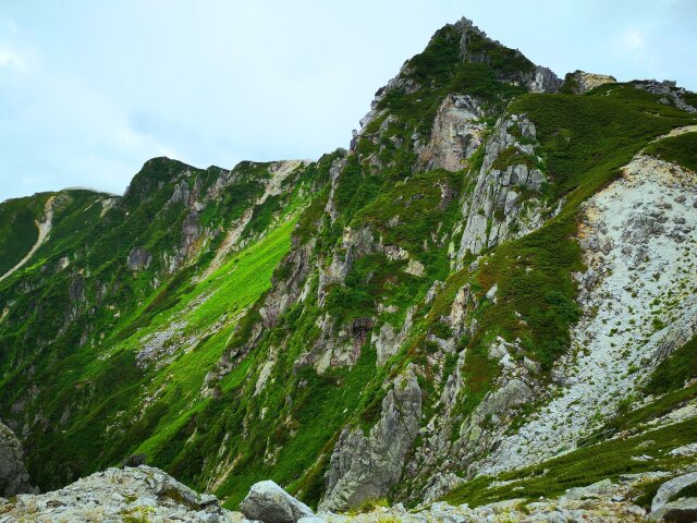 8月の駒ヶ岳