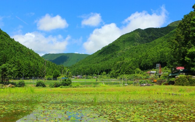 夏の水辺