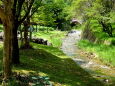 市民の森公園を流れる小川