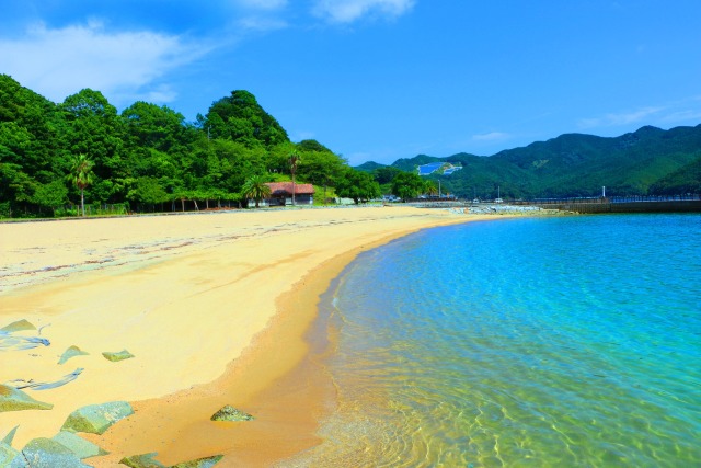 東紀州夏のビーチ