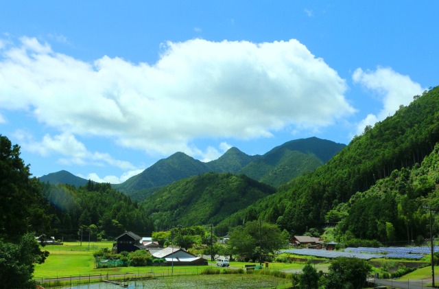 夏の里山