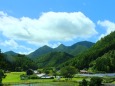 夏の里山