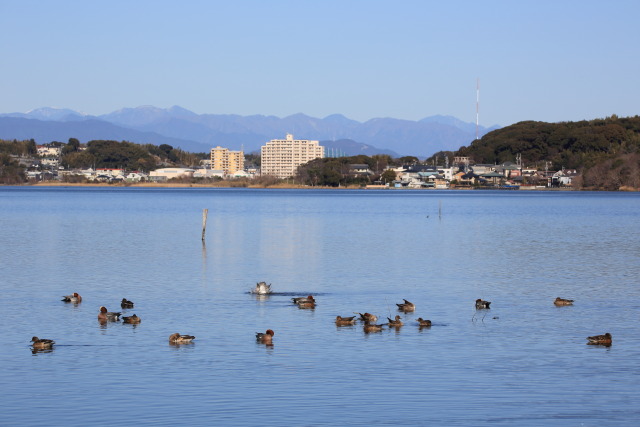 湖畔にて