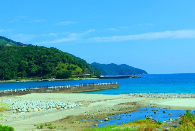 夏の海