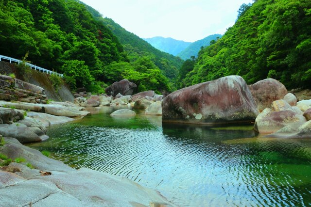 夏の清流