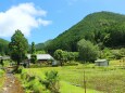 夏の里山