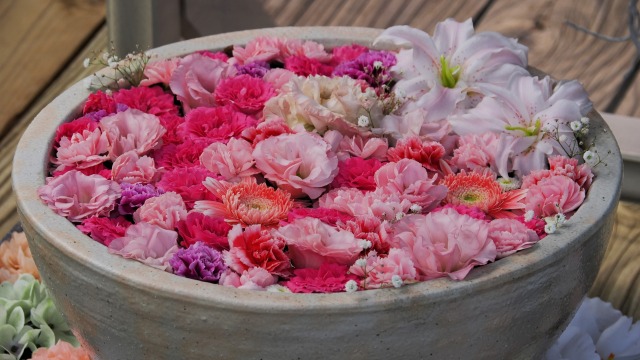 あしかがフラワーパークの花手水