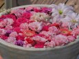 あしかがフラワーパークの花手水