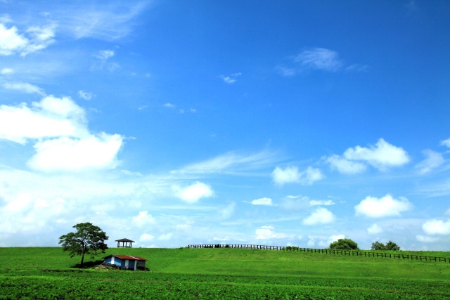 鳴瀬川堤防