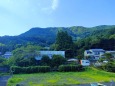 夏の里山