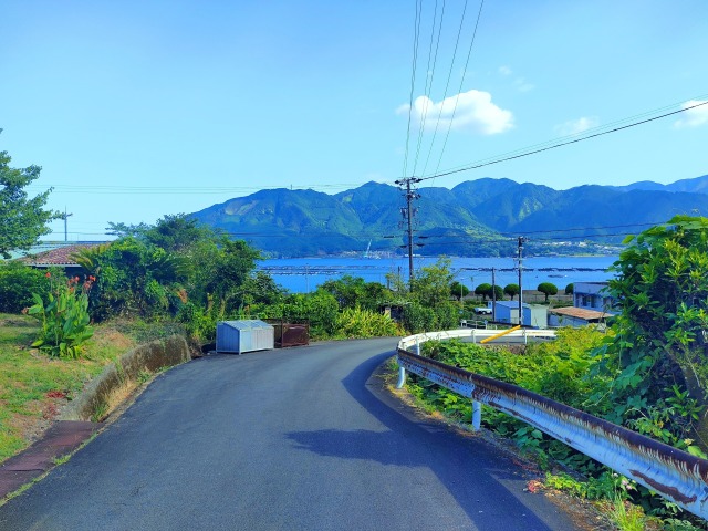 夏の海に続く道