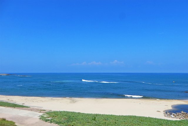 夏の海岸 14