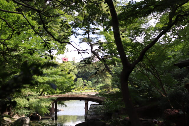 橋といっしょに