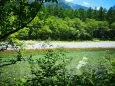 夏の水辺