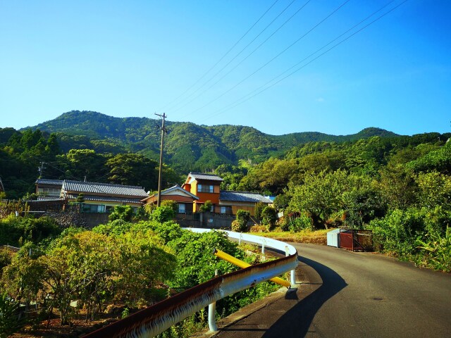 夏の里山