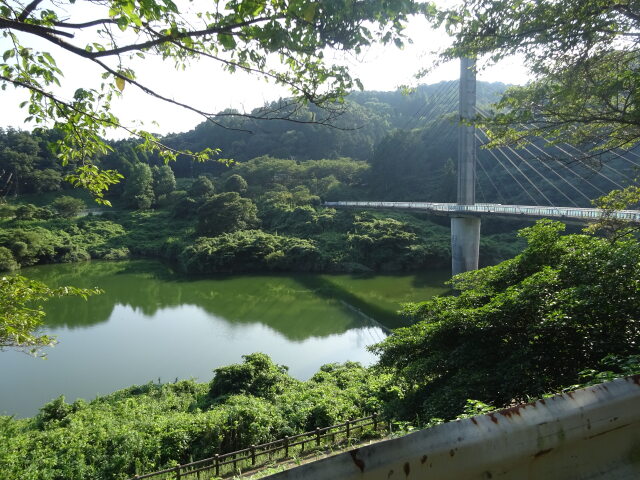 市民の森公園遊歩道の吊橋