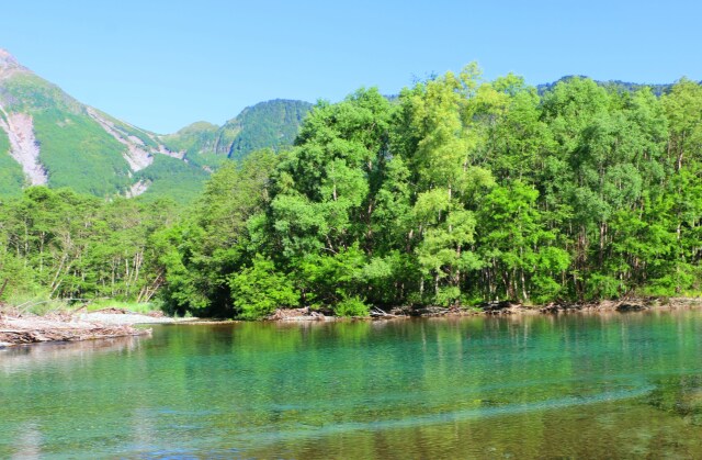 夏の大正池