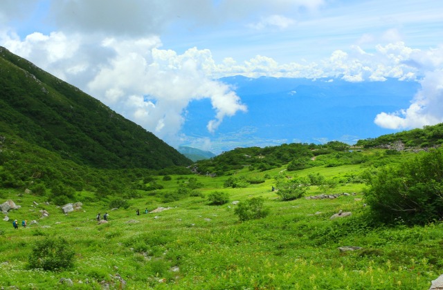 8月の駒ヶ岳