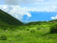 8月の駒ヶ岳