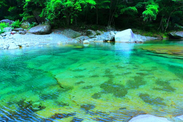 夏の清流