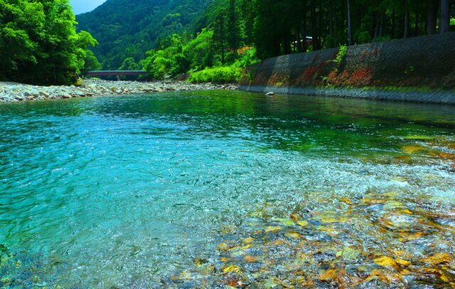 夏の清流銚子川