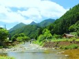 夏の里山