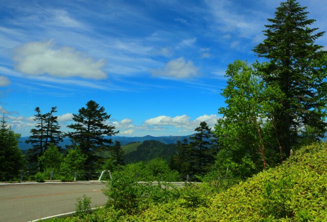 夏の乗鞍岳