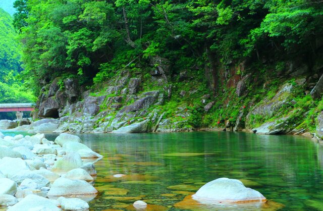 夏の清流