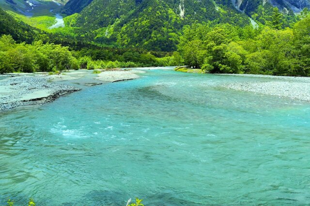 夏の水辺