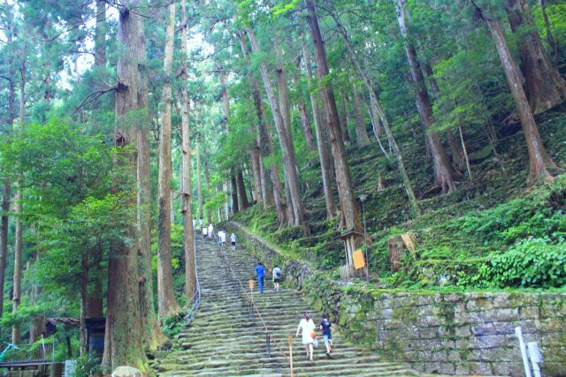 夏の熊野古道