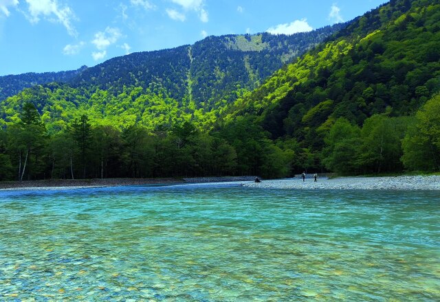 夏の水辺