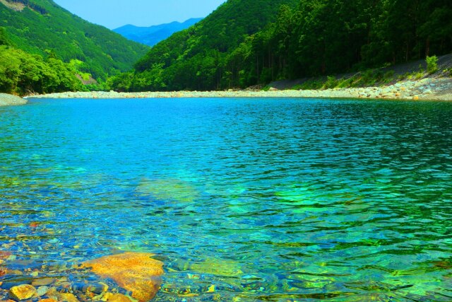 夏の清流銚子川