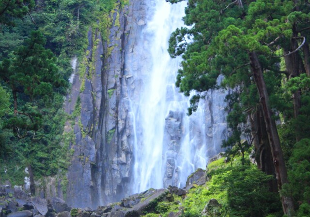 夏の那智の滝