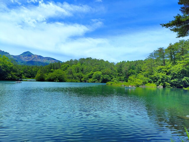 夏の水辺