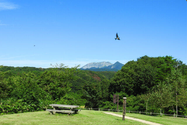 高原の夏 大山を望む