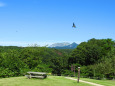 高原の夏 大山を望む